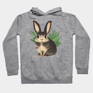 Vegetarian Life of A Little Cute Grey Mini Rex Rabbit Bunny Hoodie